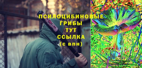 соль ск Армянск