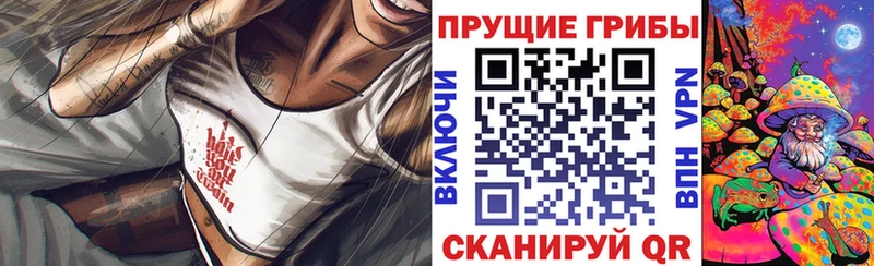 Псилоцибиновые грибы Psilocybe  Мамадыш 